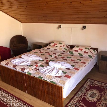 Elena Villa Heviz Bagian luar foto