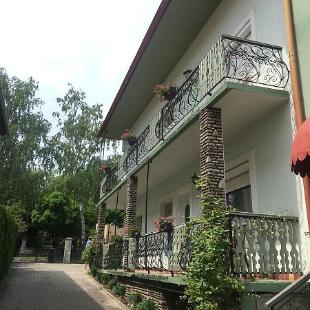 Elena Villa Heviz Bagian luar foto