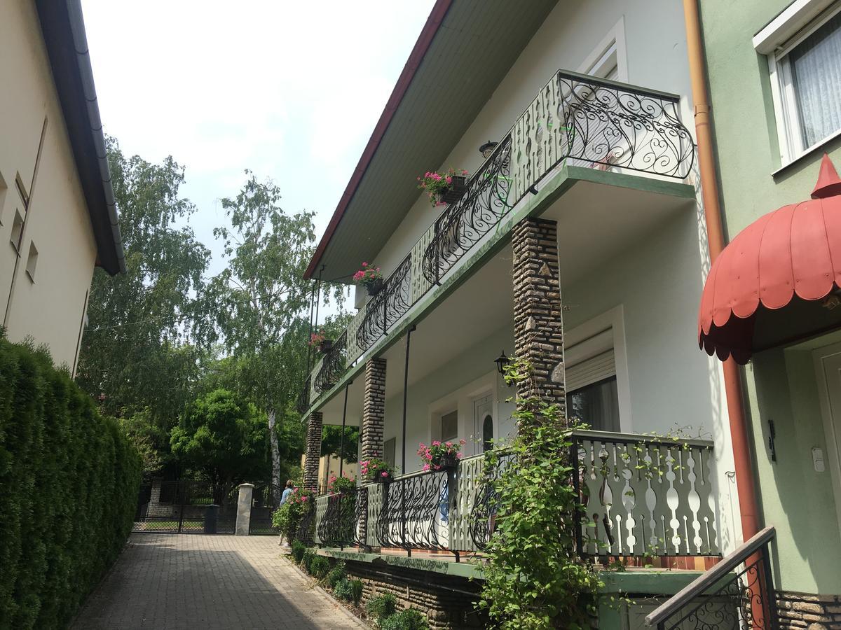 Elena Villa Heviz Bagian luar foto