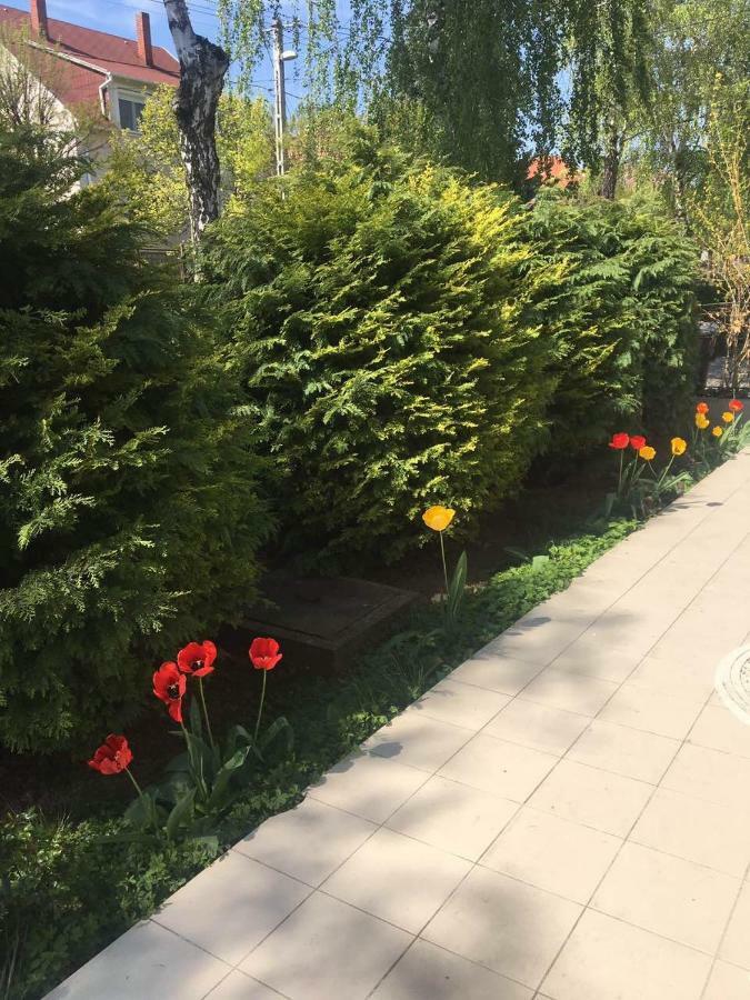 Elena Villa Heviz Bagian luar foto