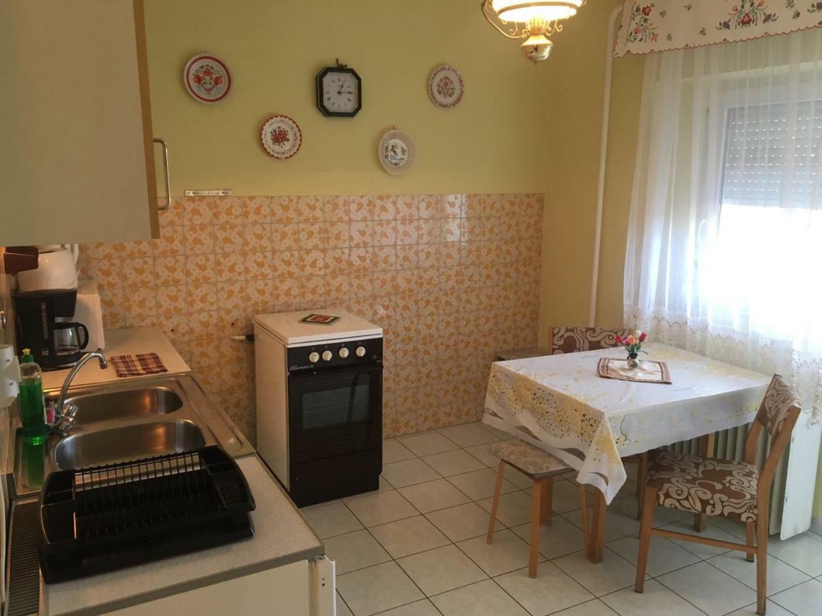 Elena Villa Heviz Bagian luar foto